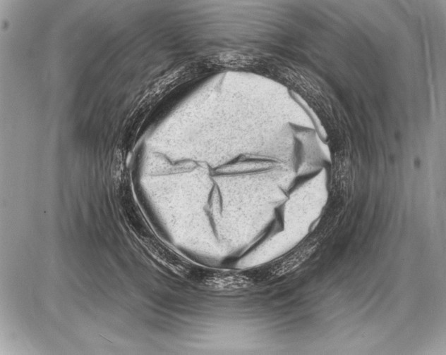 X0000085740752200704131644