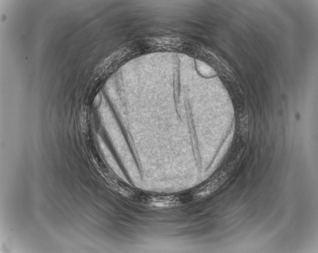 X0000085740757200704131644