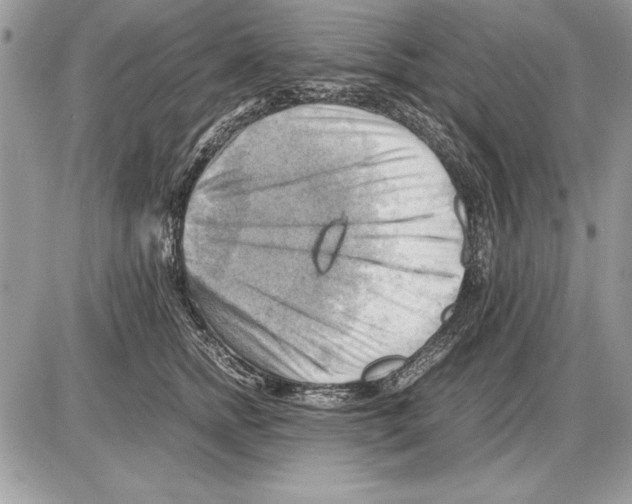 X0000085740758200704131644