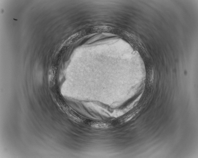 X0000085740759200704131645
