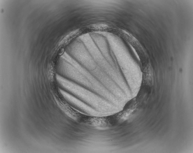 X0000085740762200704131645
