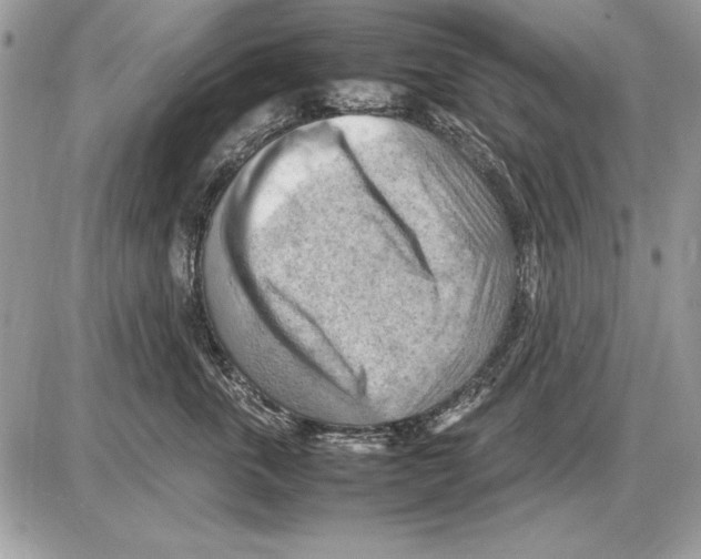 X0000085740763200704131645