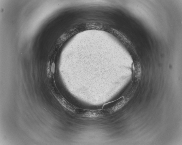 X0000085740764200704131645