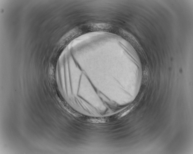 X0000085740765200704131645