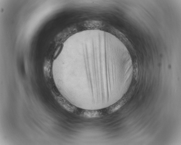 X0000085740767200704131645