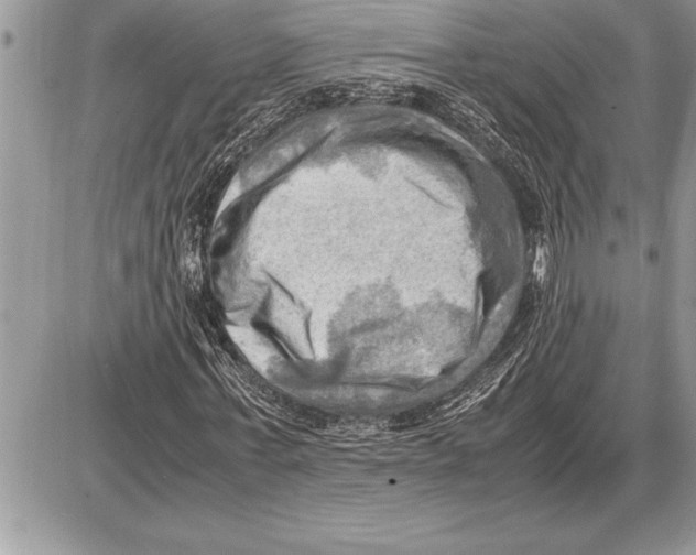 X0000085740771200704131644