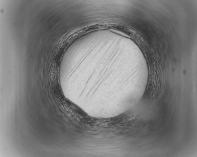 X0000085740773200704131644