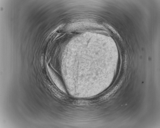X0000085740777200704131644