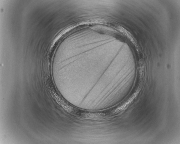 X0000085740781200704131644