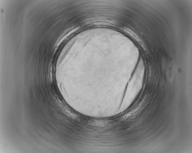 X0000085740782200704131644
