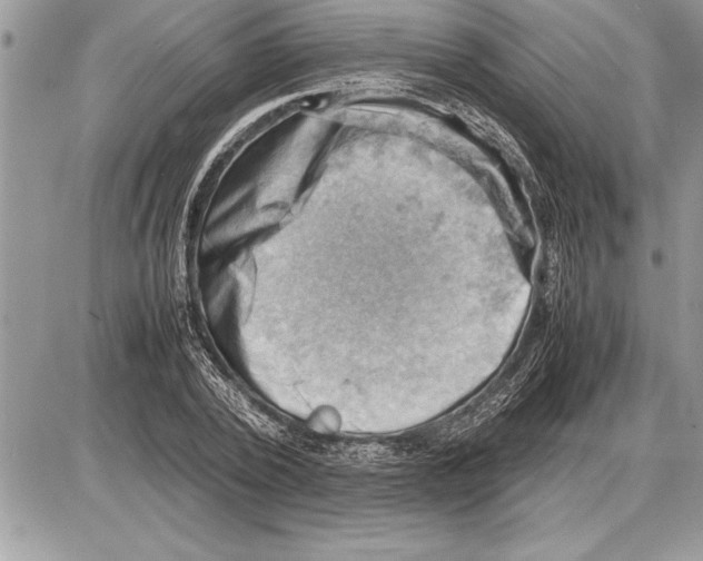 X0000085740784200704131644