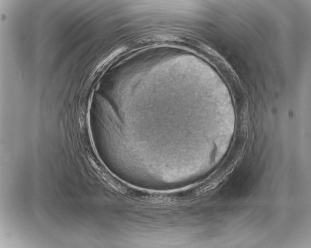 X0000085740785200704131644