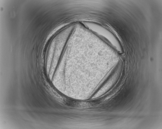 X0000085740787200704131644