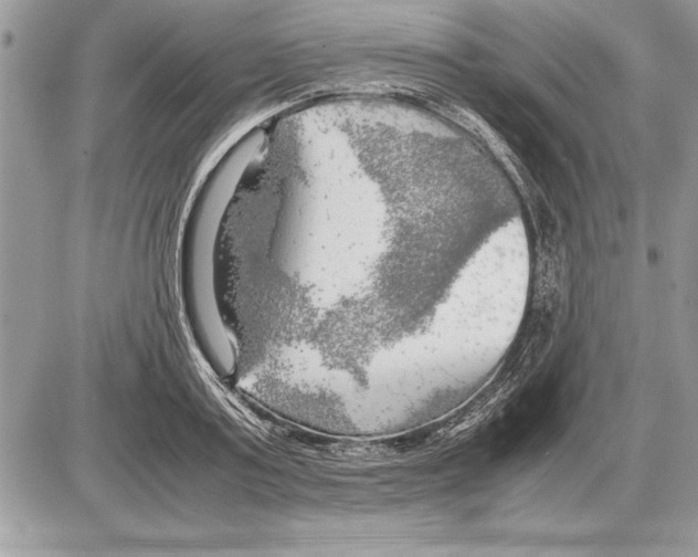 X0000085740795200704131643