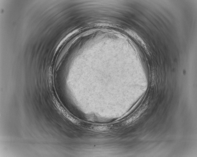 X0000085740798200704131643