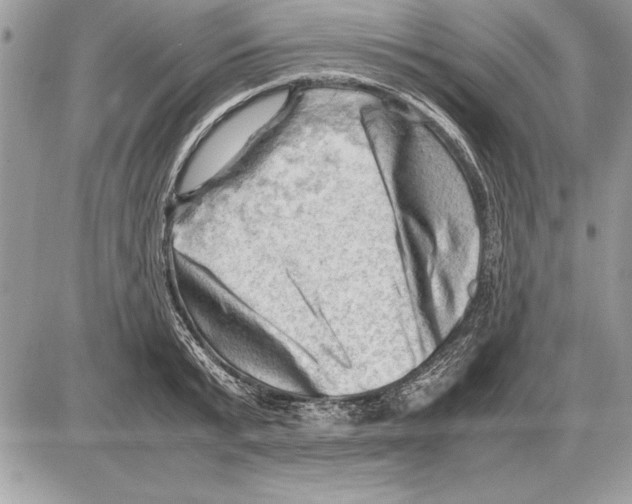 X0000085740799200704131643