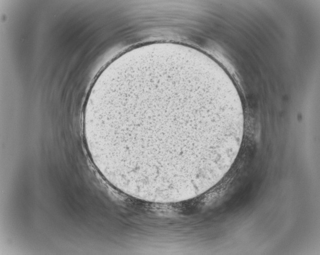 X0000085740807200704131643
