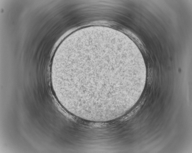 X0000085740808200704131643
