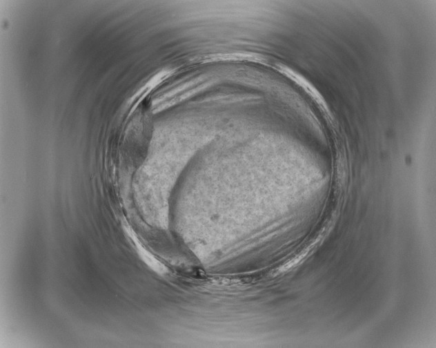 X0000085740809200704131643