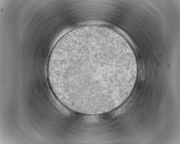 X0000085740810200704131643