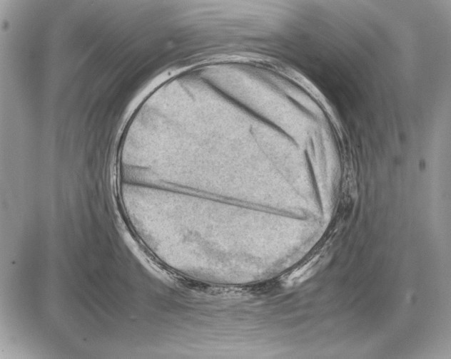 X0000085740811200704131643