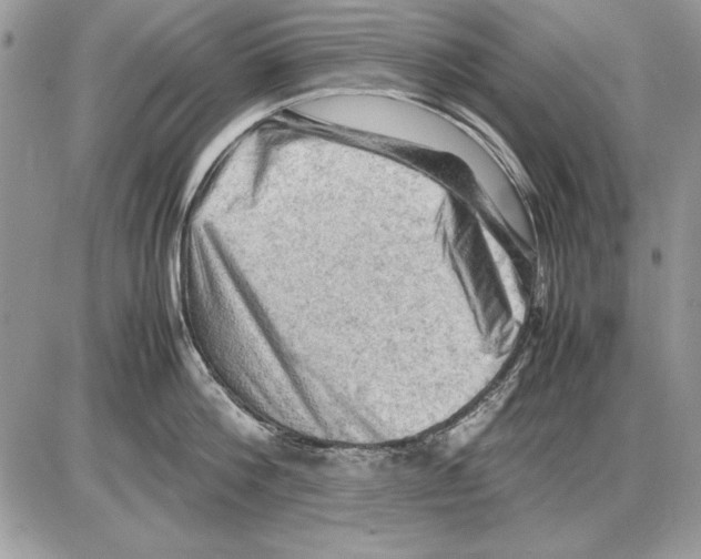 X0000085740812200704131643