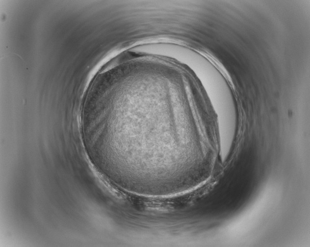 X0000085740813200704131643