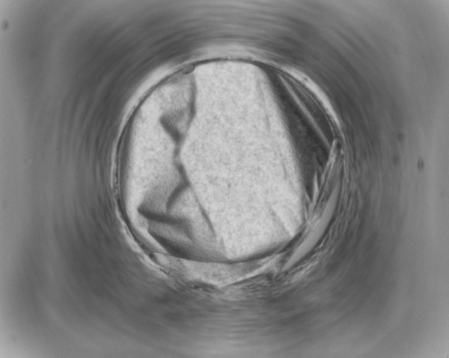 X0000085740815200704131643