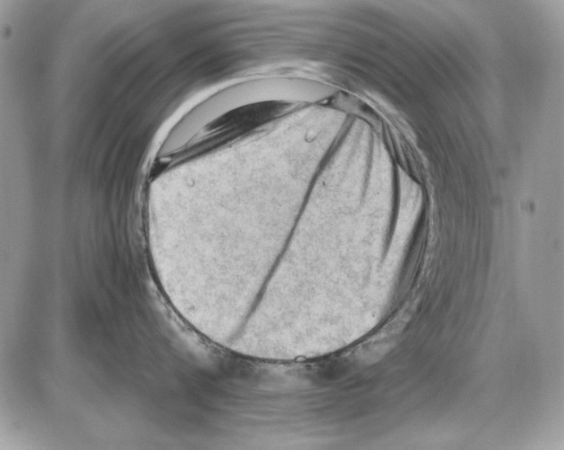 X0000085740816200704131643