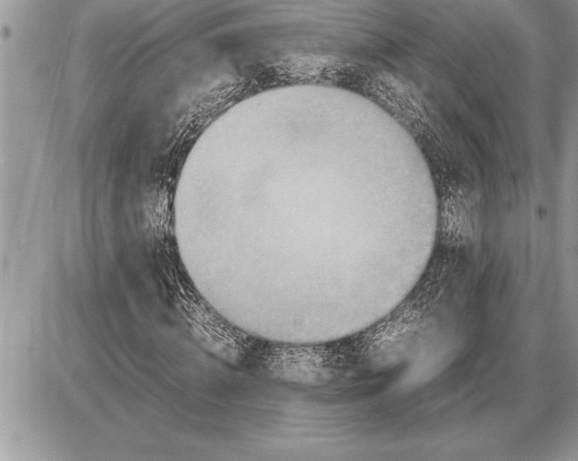X0000085740820200704131642