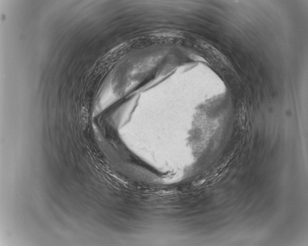 X0000085740821200704131642