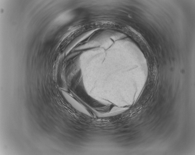 X0000085740823200704131642