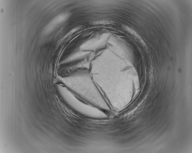 X0000085740825200704131642