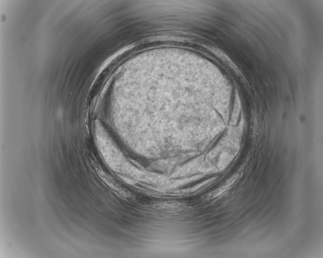 X0000085740830200704131642