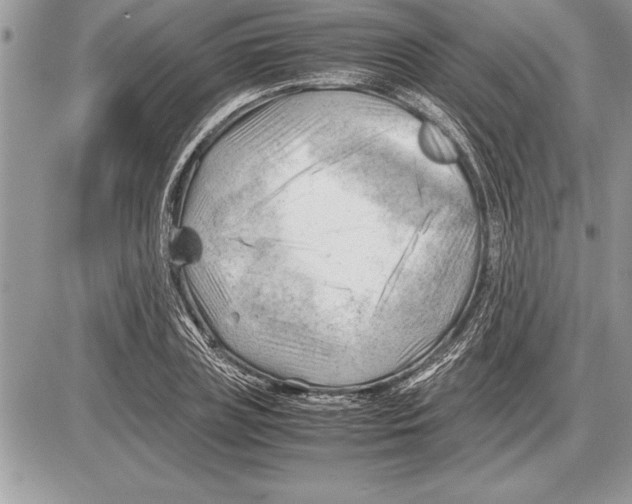X0000085740835200704131643