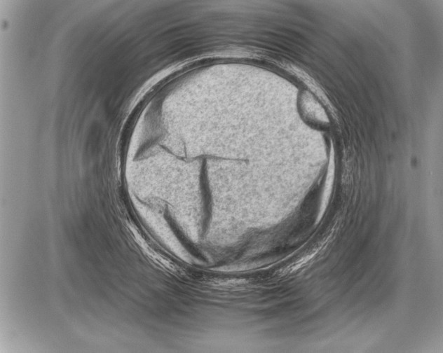 X0000085740837200704131643