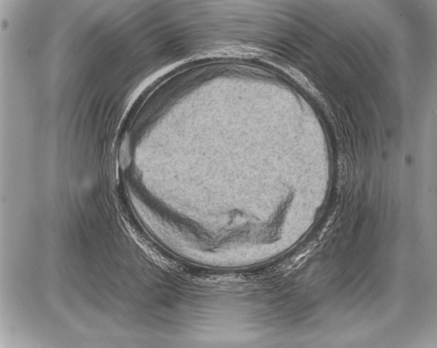 X0000085740838200704131643