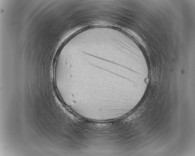 X0000085740839200704131643