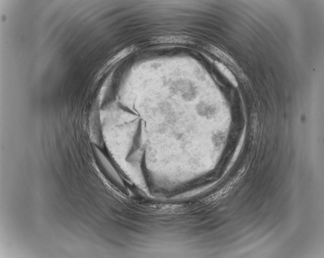 X0000085740841200704131643