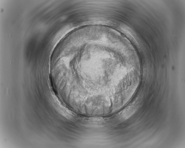 X0000085740844200704131643