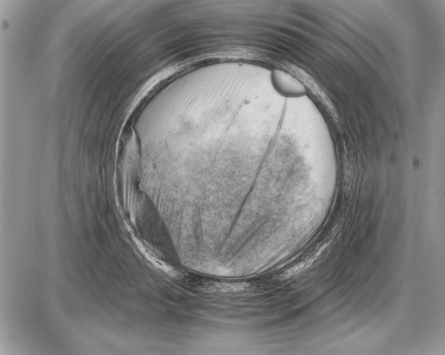 X0000085740845200704131643