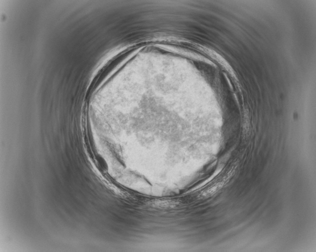 X0000085740847200704131643