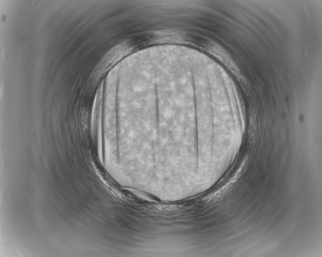 X0000085740849200704131643