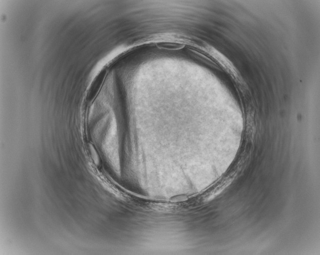 X0000085740854200704131643