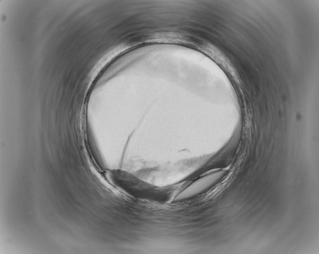 X0000085740855200704131643