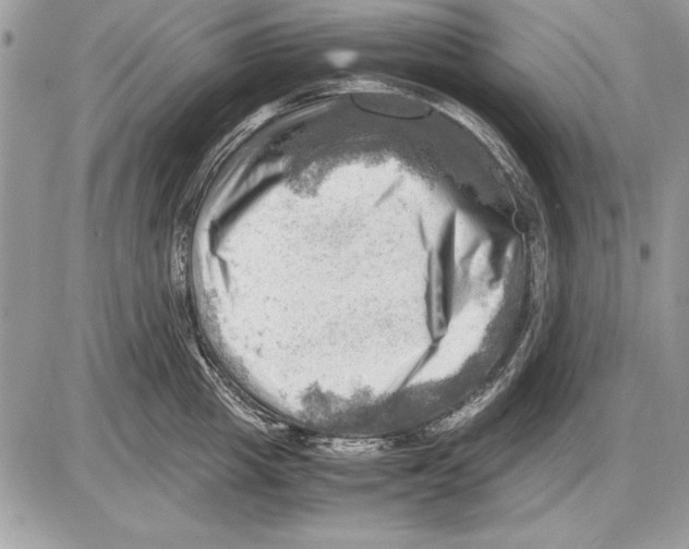 X0000085740857200704131643