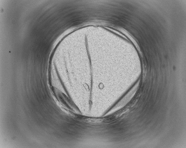X0000085740861200704131643