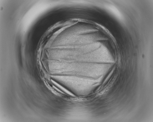 X0000085740862200704131643