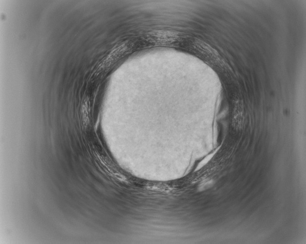 X0000085740866200704131642