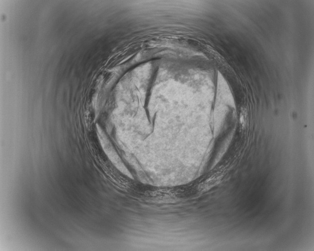 X0000085740867200704131642